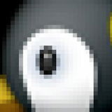 马陵河探街茭琉