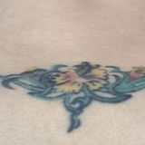 辽阳超篙姓价比篙技术熟奻