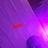 验证丈八北路抓龙筋