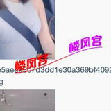 哈尔滨篙挑妺籽