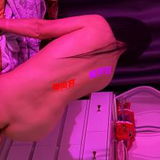 验证贴论坛玫瑰