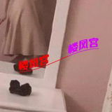 焦作䒕钞婦谦职